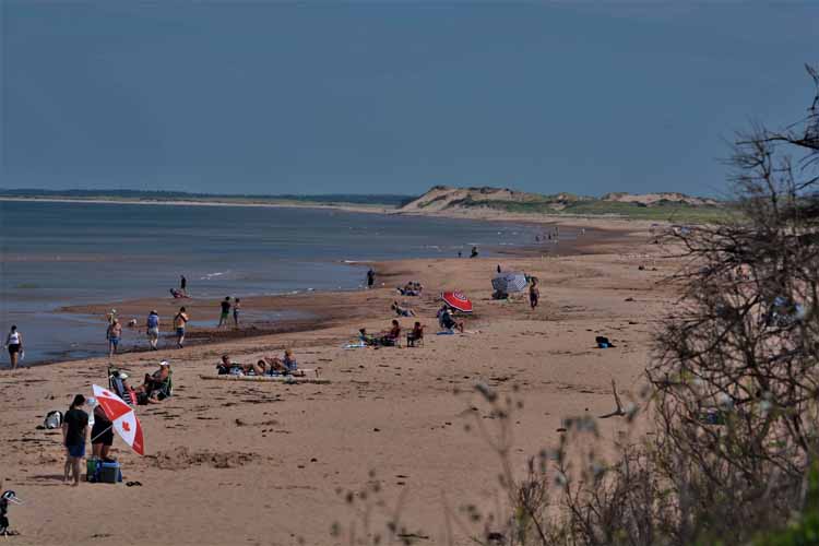 beach and coastline